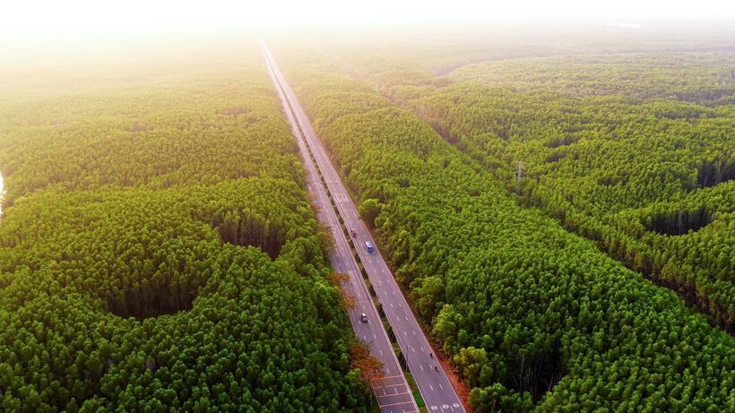 Chạy xuyên rừng ngập mặn và dọc bờ biển Cần Giờ là trải nghiệm đáng giá nhất tại VnExpress Marathon Green Paradise.